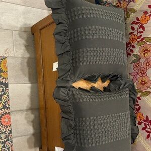 Elegant Gray Ruffled Pillows
